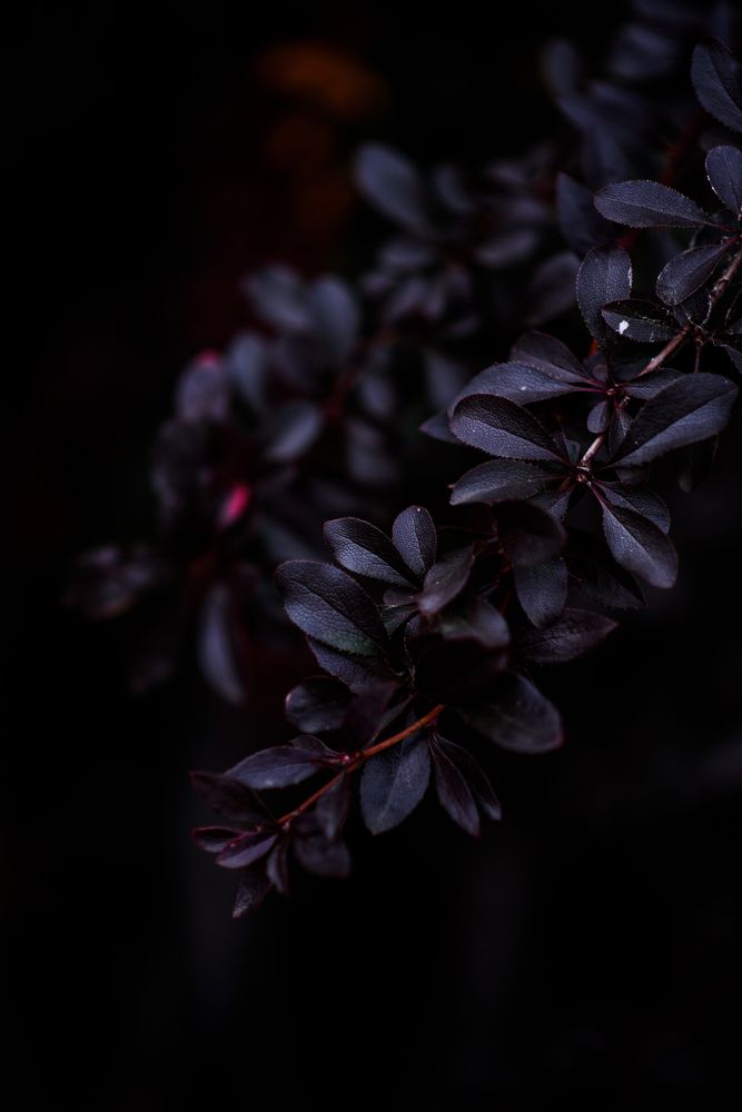 Photograph by Lilia Ivanova