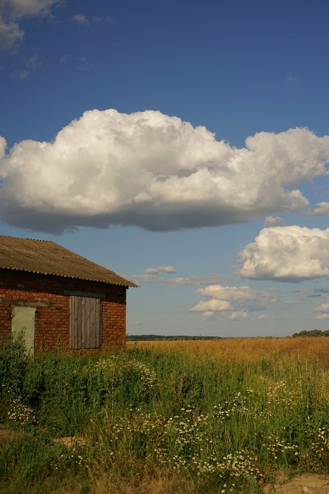Фотография автора Наталья