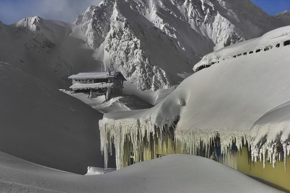 Photograph by Sorin Lazar Photography