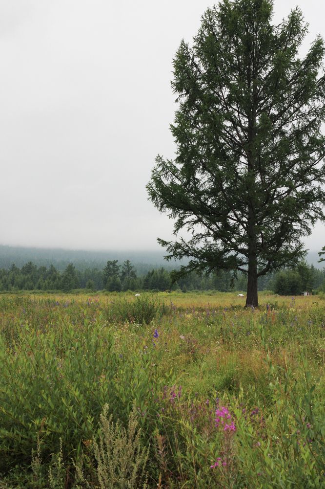 Фотография автора Егор Пешков