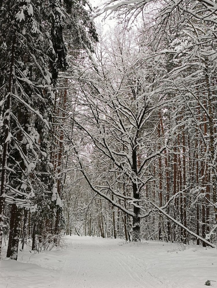 Photograph by Ольга Кириллова