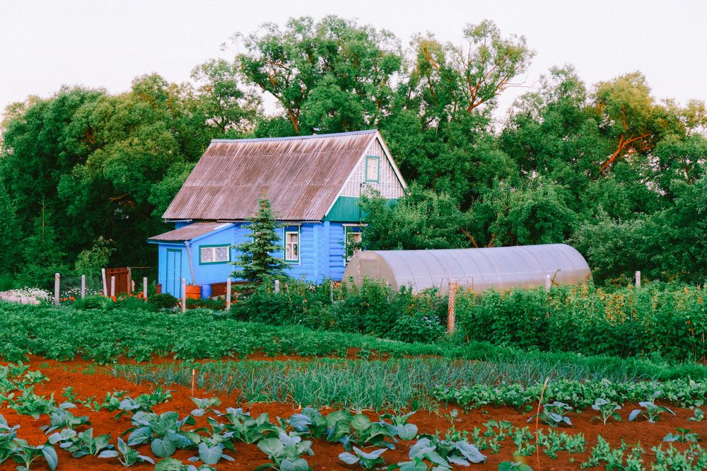 Photograph by Юлия Авдеева