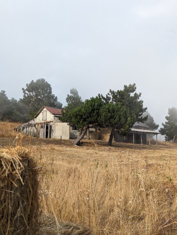 Фотография автора Евгений Петросян