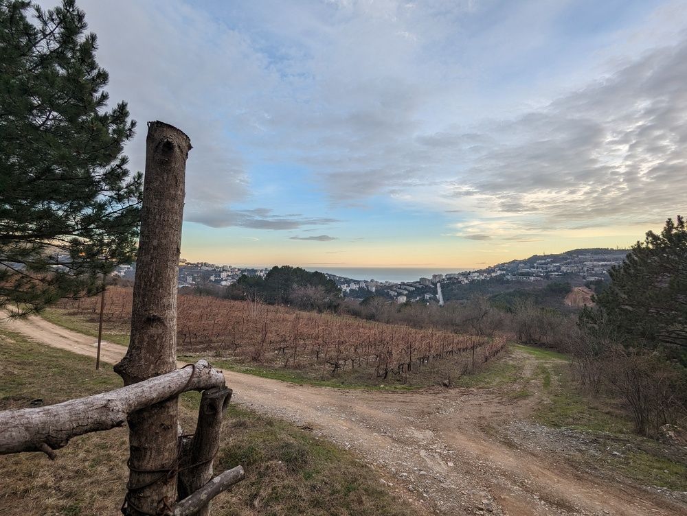 Фотография автора Евгений Петросян