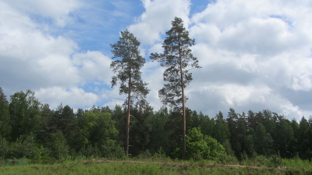 Photo #10138217