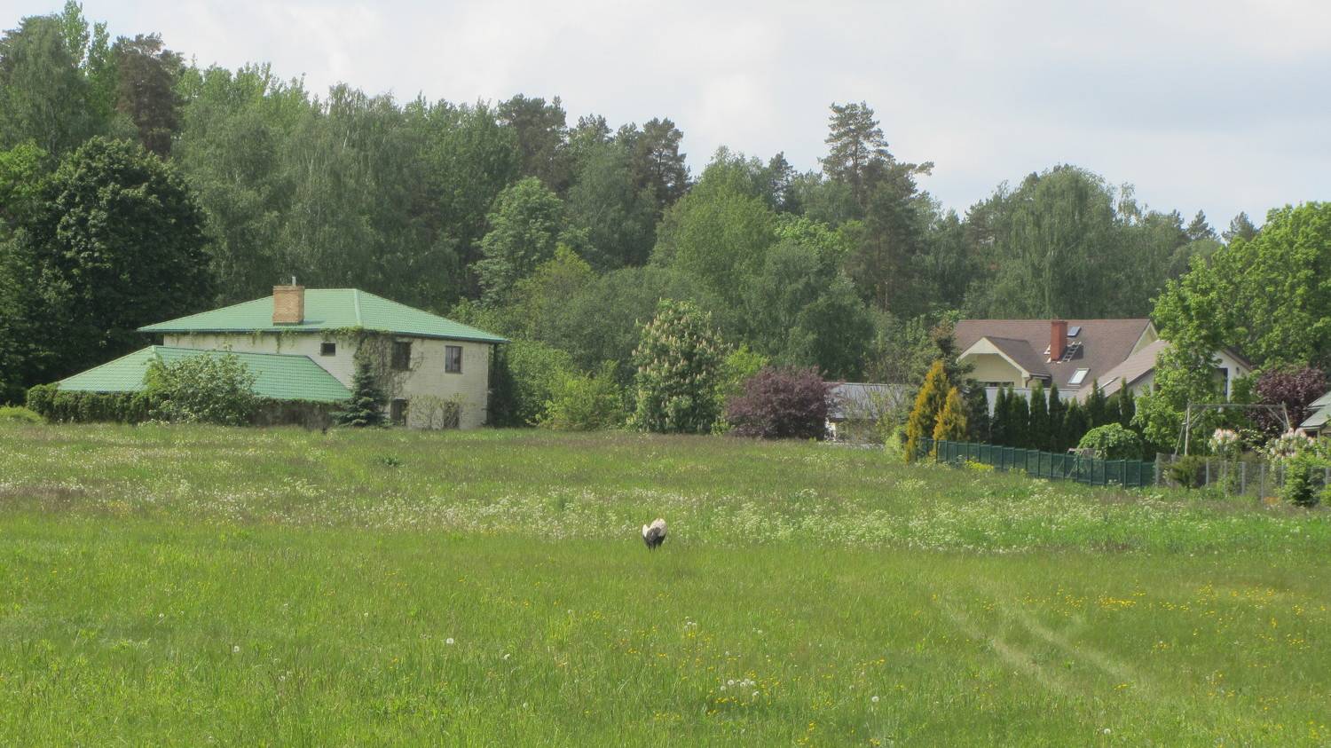 Photo #10138230