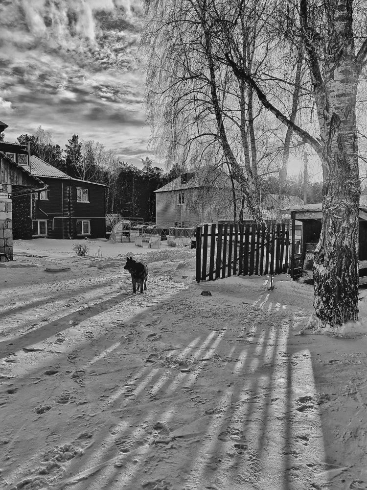 Photograph by Наталья Веряскина