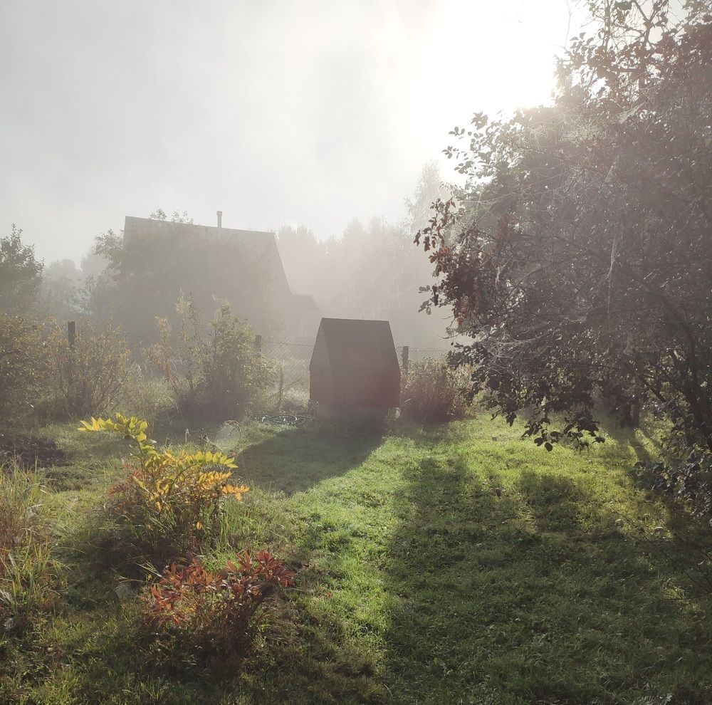 Photograph by Ведерникова Анна Андреевна