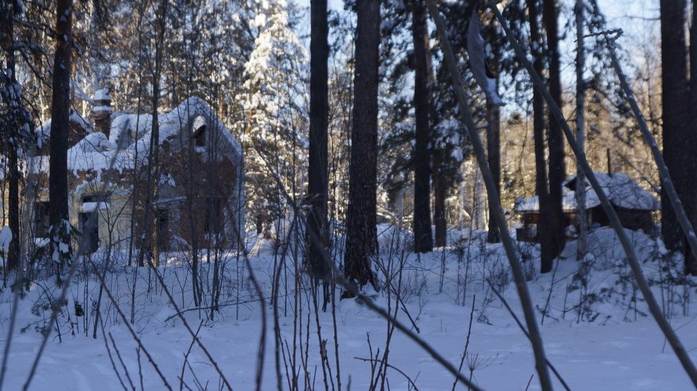 Photograph by Ольга Лагунова