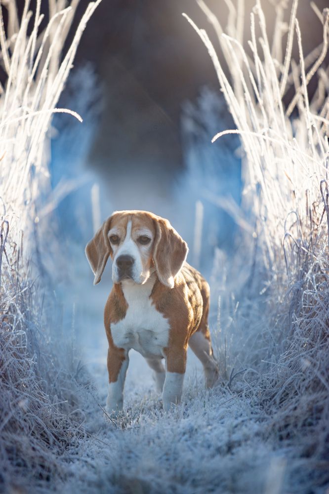 Фотография автора Katerina Mumzhinskaya