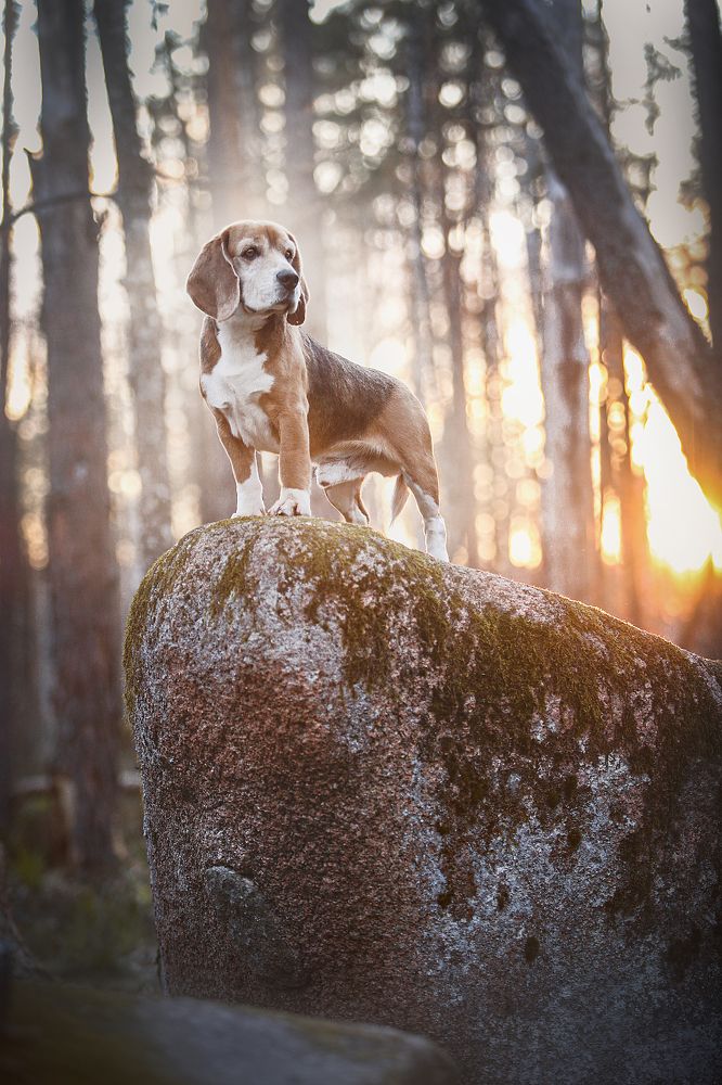 Фотография автора Katerina Mumzhinskaya