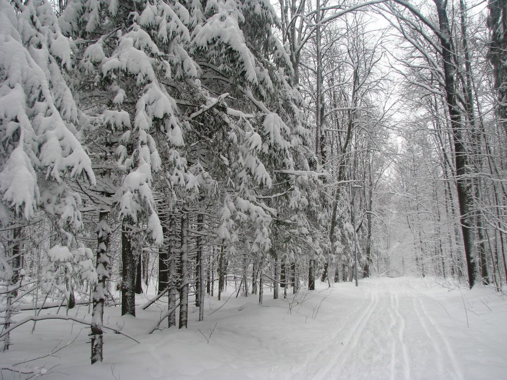 Photograph by Лада