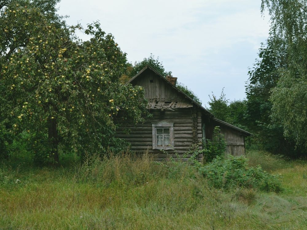 Фотография автора Ольга Шкотова