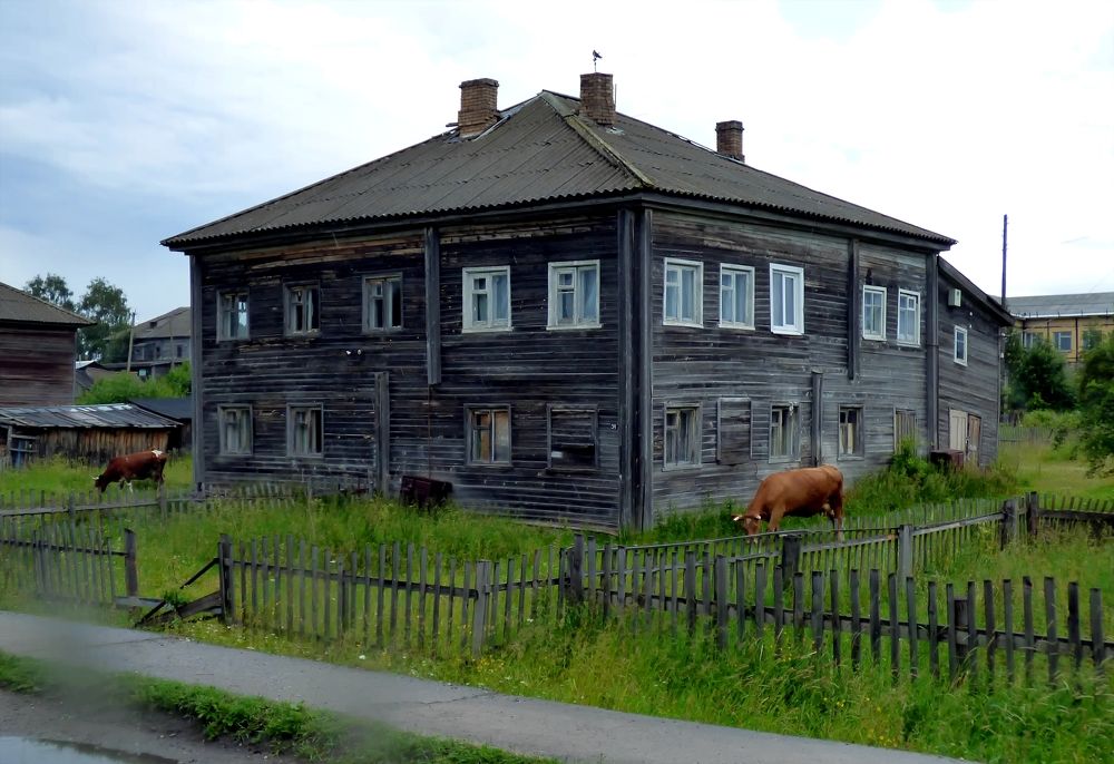 Photograph by Pjotr Alekseev