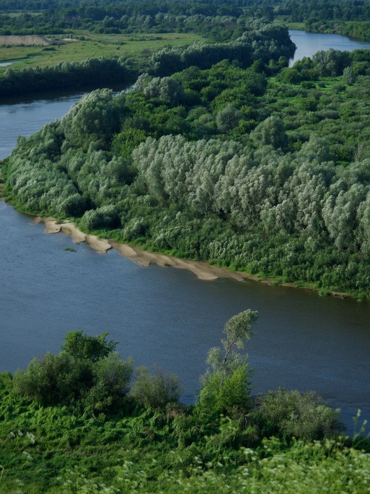 Photograph by Светлана Георкова