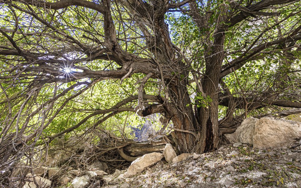 Photograph by Марат Кидиров