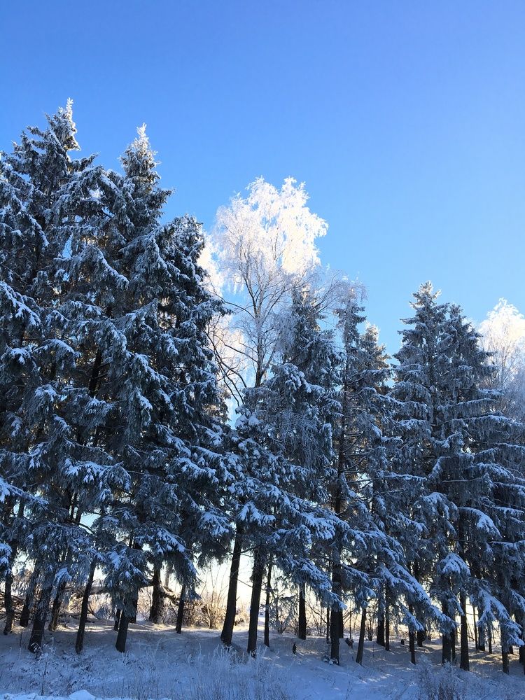 Photograph by Anna Matveeva