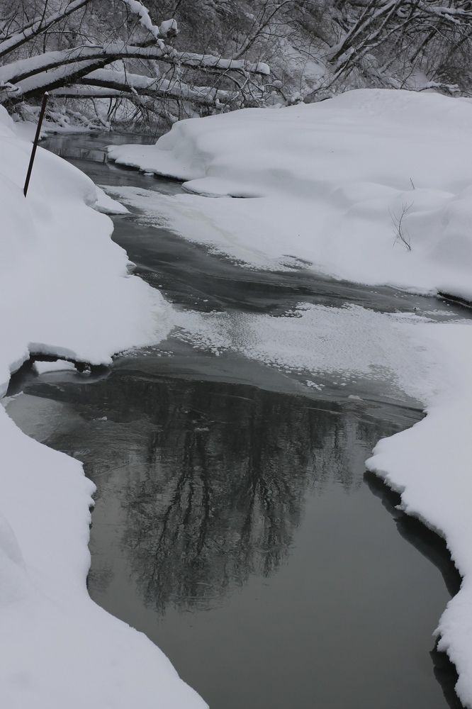 Photograph by Елена