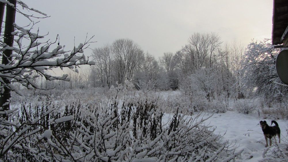 Photo #10138441