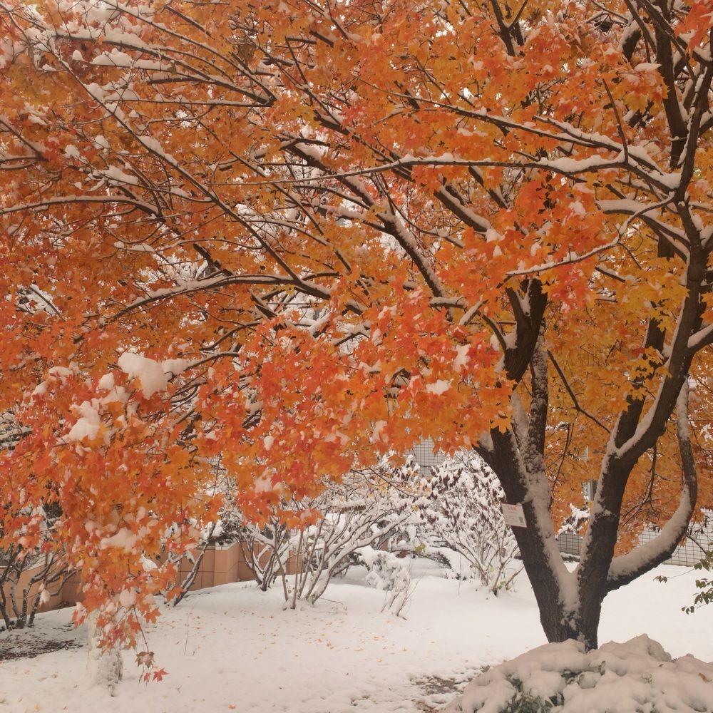 Photograph by Milena Konstantinova