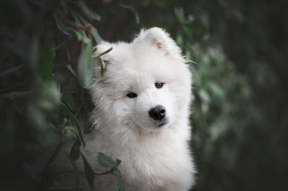 Фотография автора Rut Casanellas