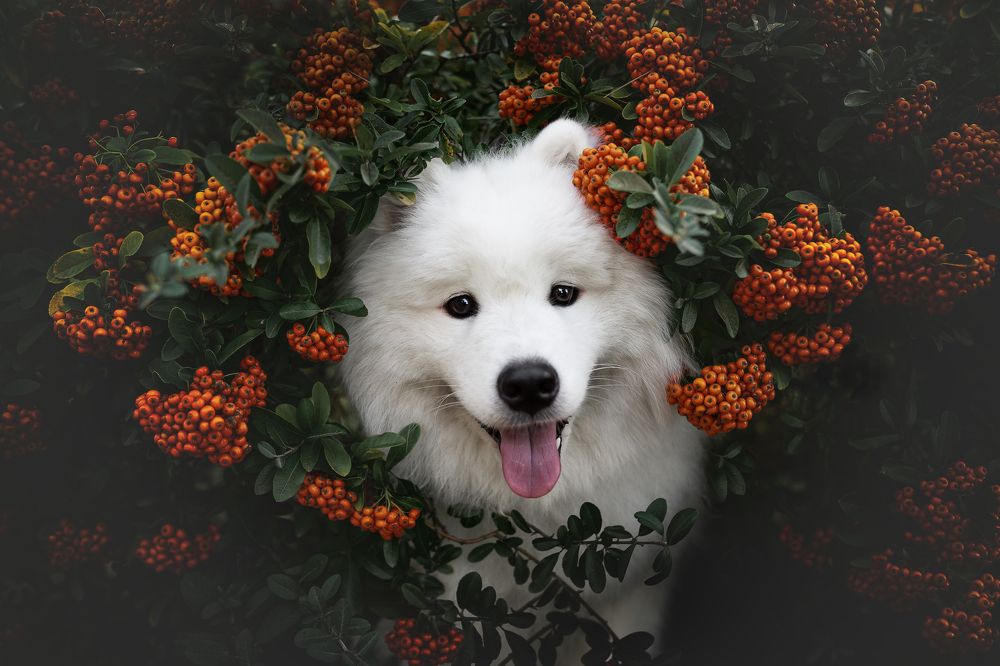 Фотография автора Rut Casanellas