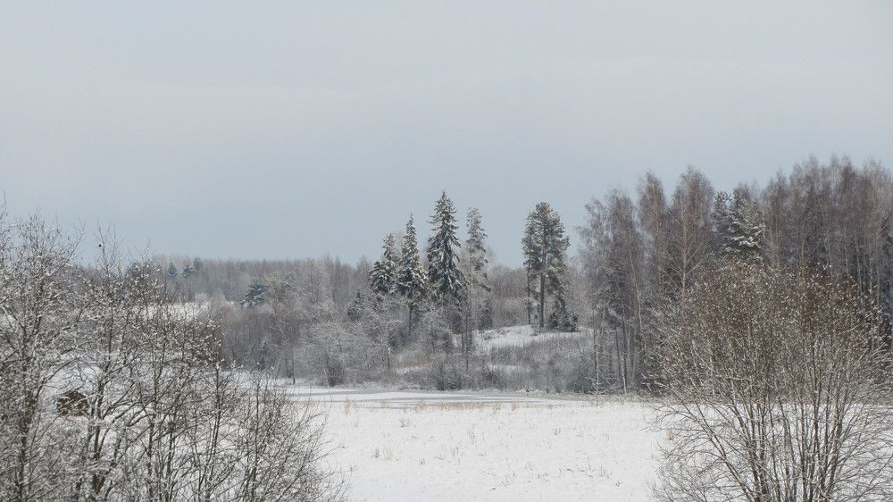 Photo #10138576