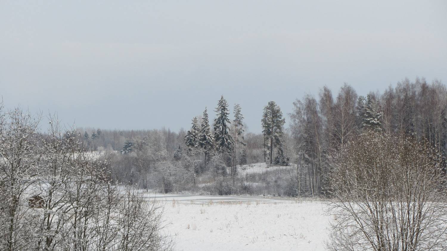 Photo #10138576