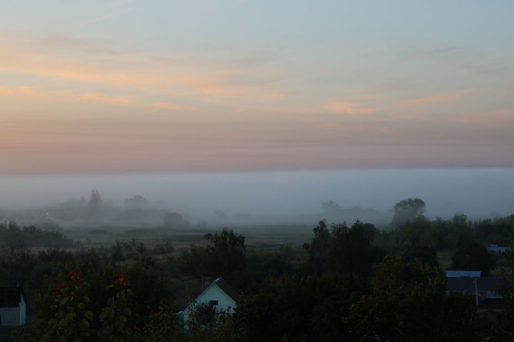 Photograph by Елена Коробченко