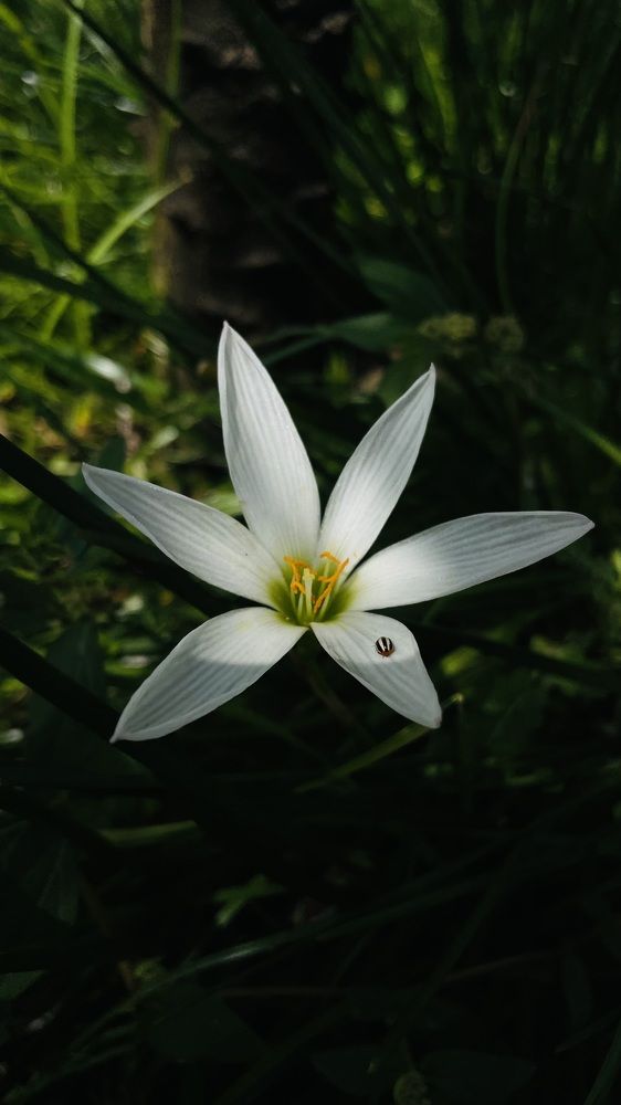 Photograph by Shravan Devadiga