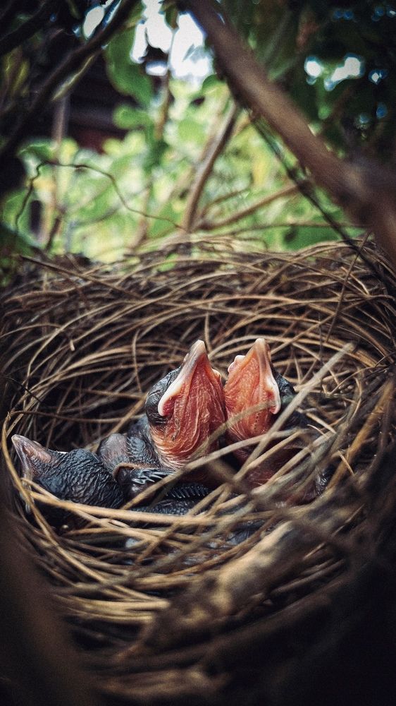 Photograph by Shravan Devadiga