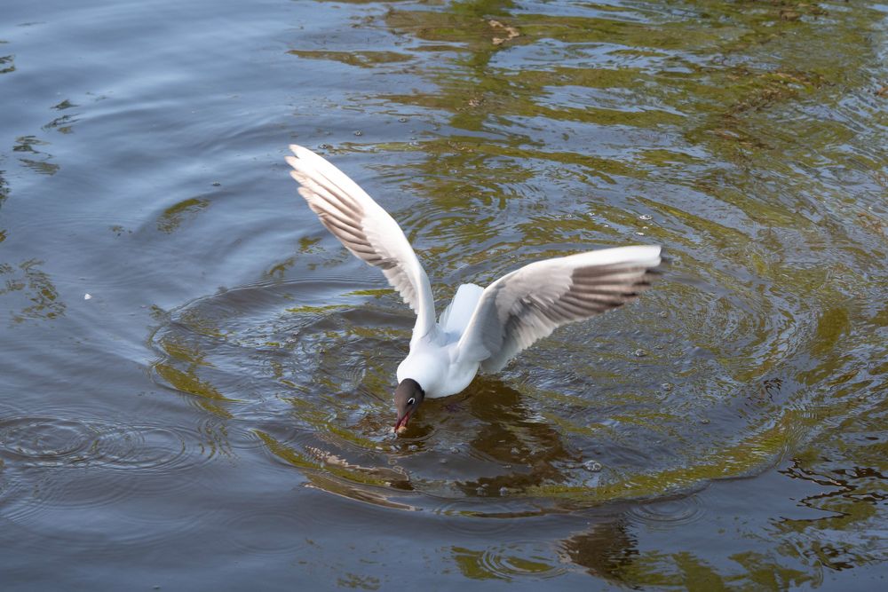 Photograph by Римма