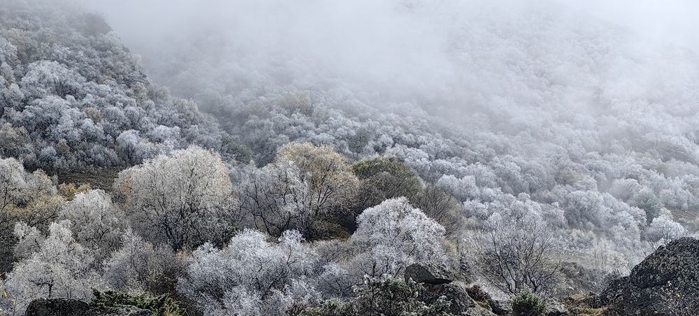 Photograph by Наталия Мельникова