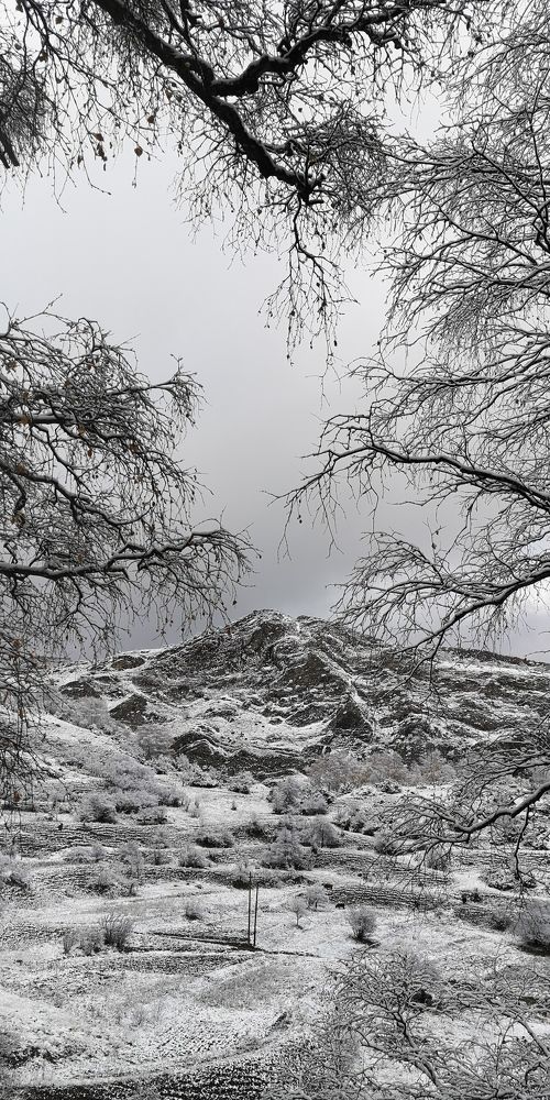 Photograph by Наталия Мельникова