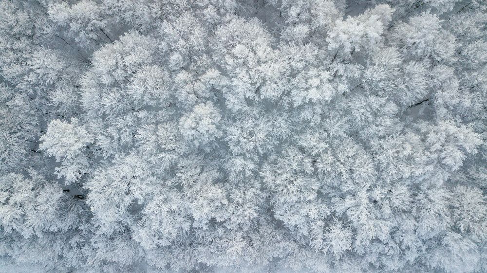 Photograph by Игорь Сапронов