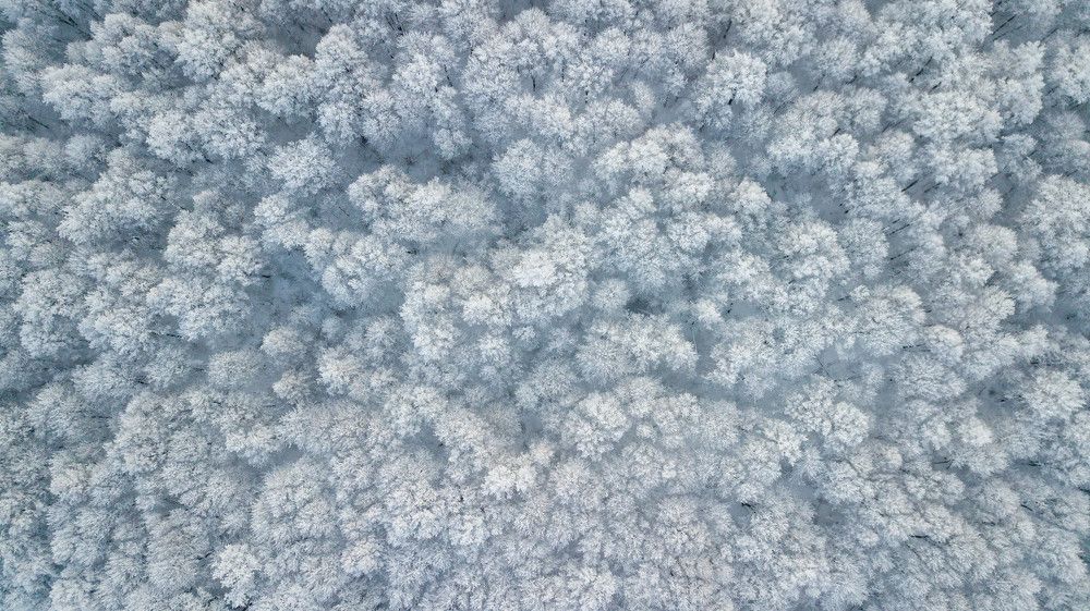 Photograph by Игорь Сапронов