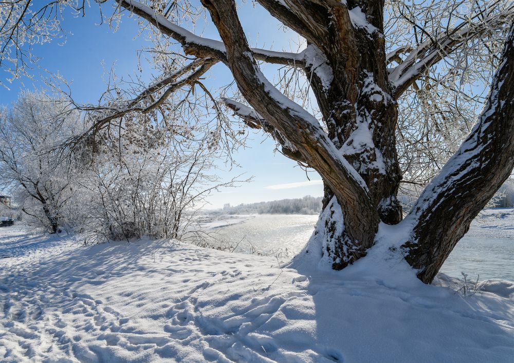 Photograph by Владимир Кваша