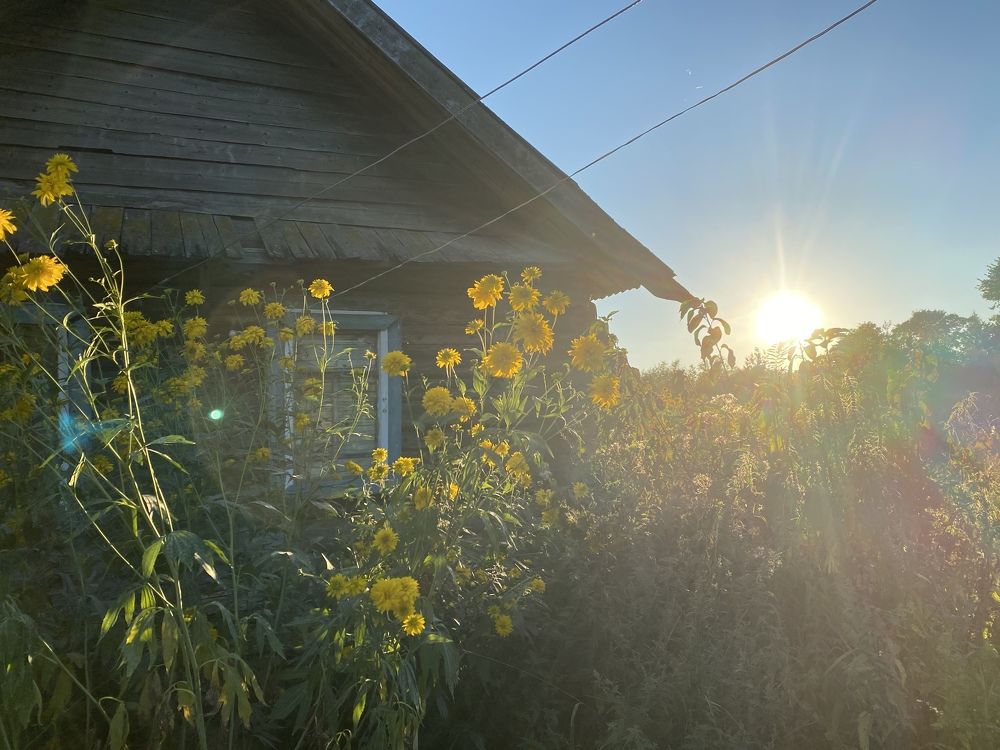 Photograph by Ксения