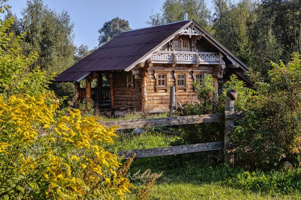 Photograph by Елена Нечипоренко