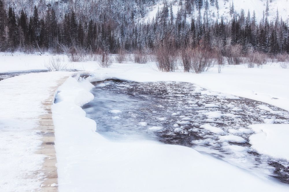 Photograph by Юлия Зубкова