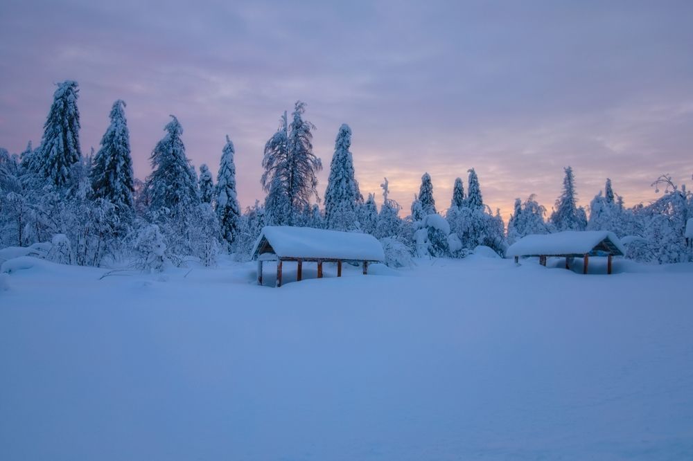 Photograph by Игорь Щербаков