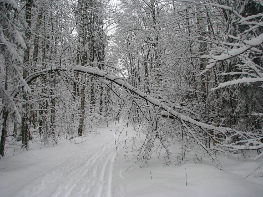 Photograph by Лада Кляузина