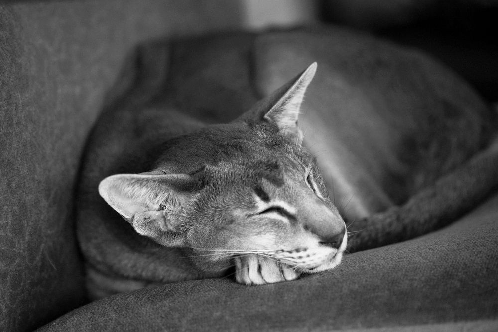 Photograph by Татьяна Кужаниязова