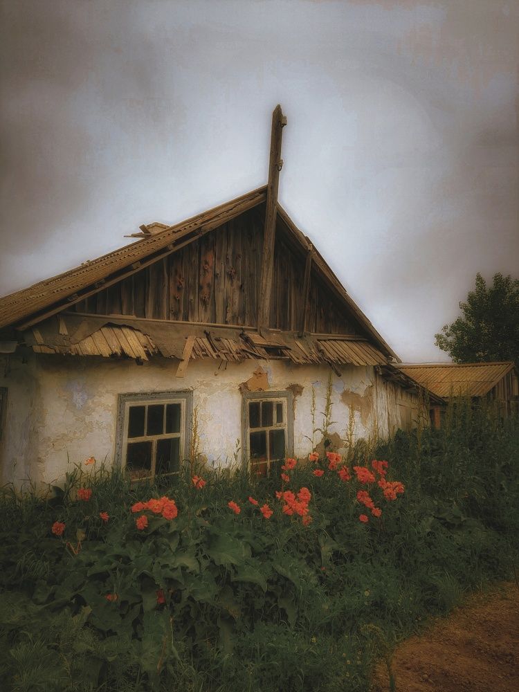 Photograph by Наталья Чередниченко