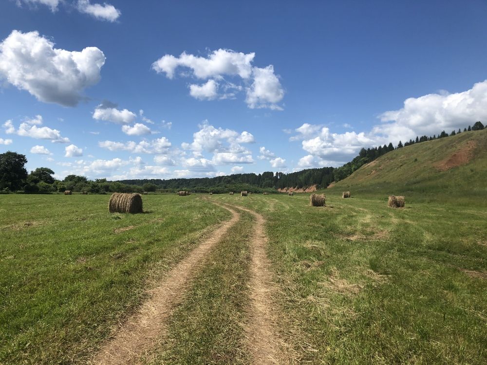 Photograph by Ксения