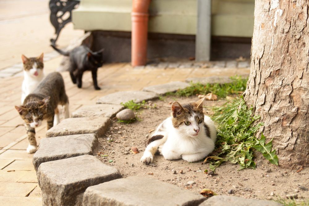 Photograph by Татьяна Кужаниязова