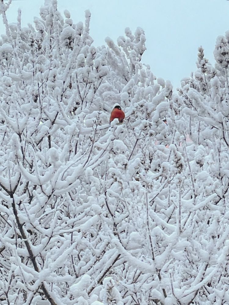 Photograph by Анастасия Щербакова