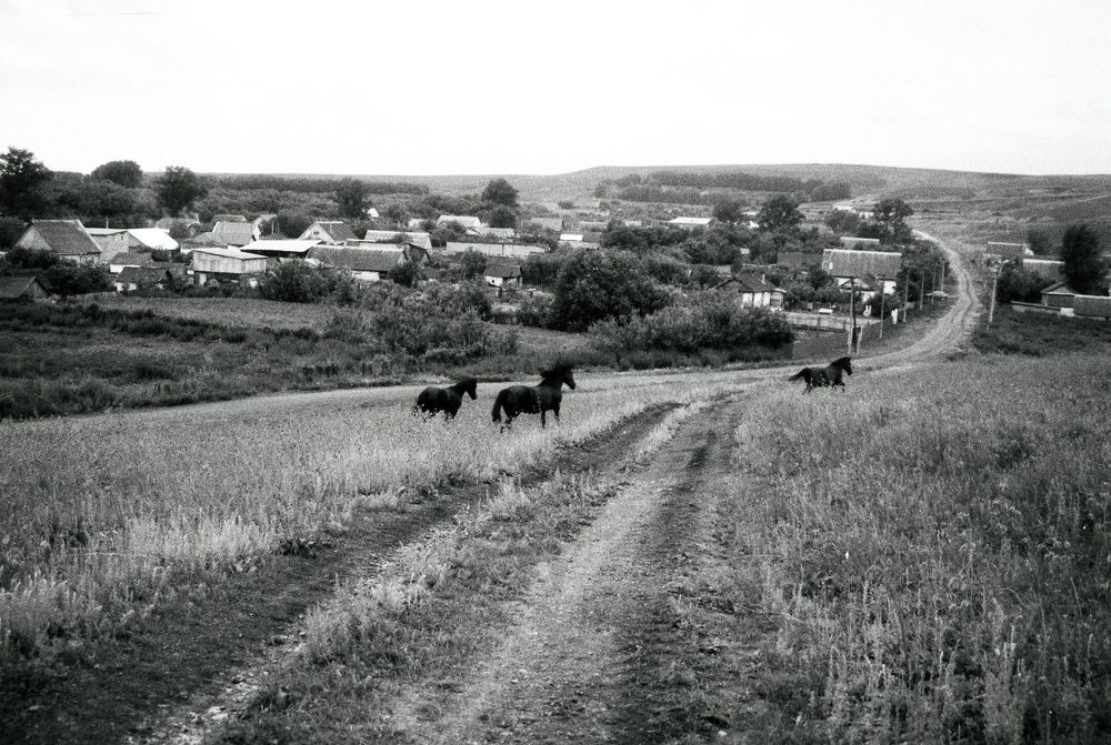 Photograph by Маннанова Ляйсан