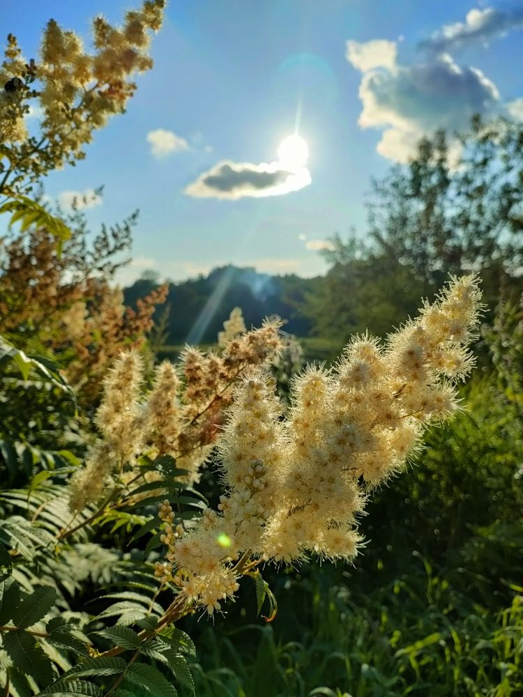 Photograph by Татьяна Гудимова