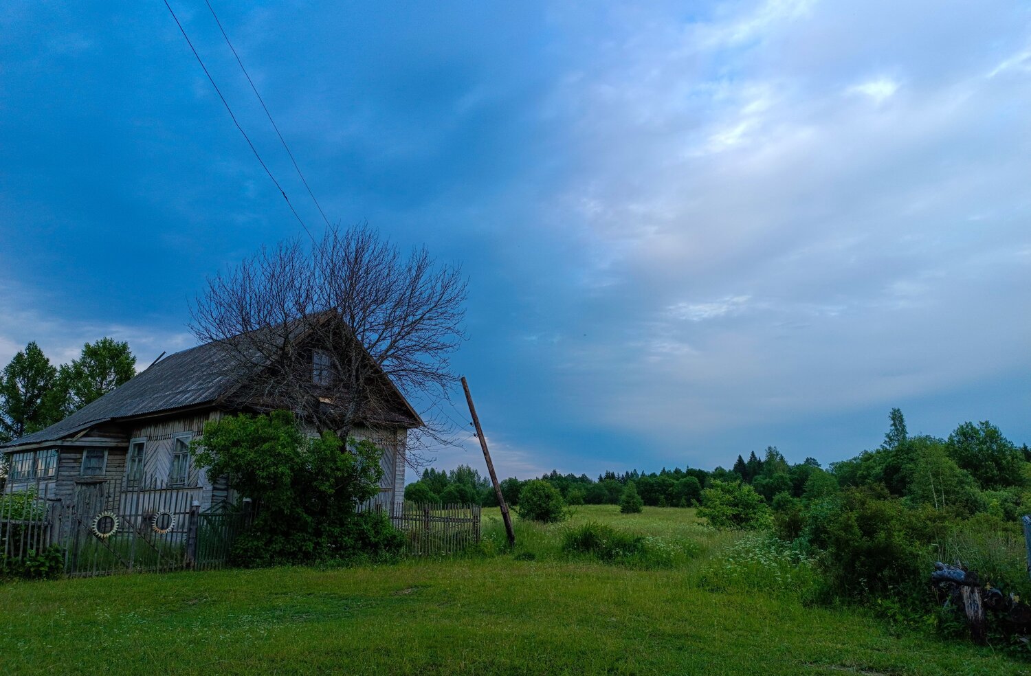 Photo #10139075